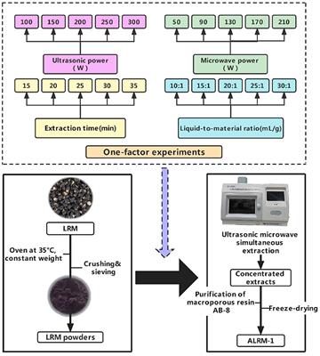 Study on anthocyanins from Lycium ruthenicum Murr via ultrasonic microwave synergistic extraction and its antioxidant properties